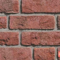 NFP.33 Formback hellrot bunt Röben