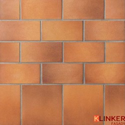 DLAŽBA KLINKER TERRA 307 WEIZENGELB STRÖHER
