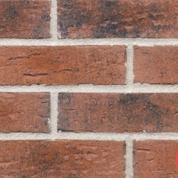 NFP.Bengali Night HF06