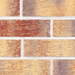 NFP.Rainbow Brick HF15